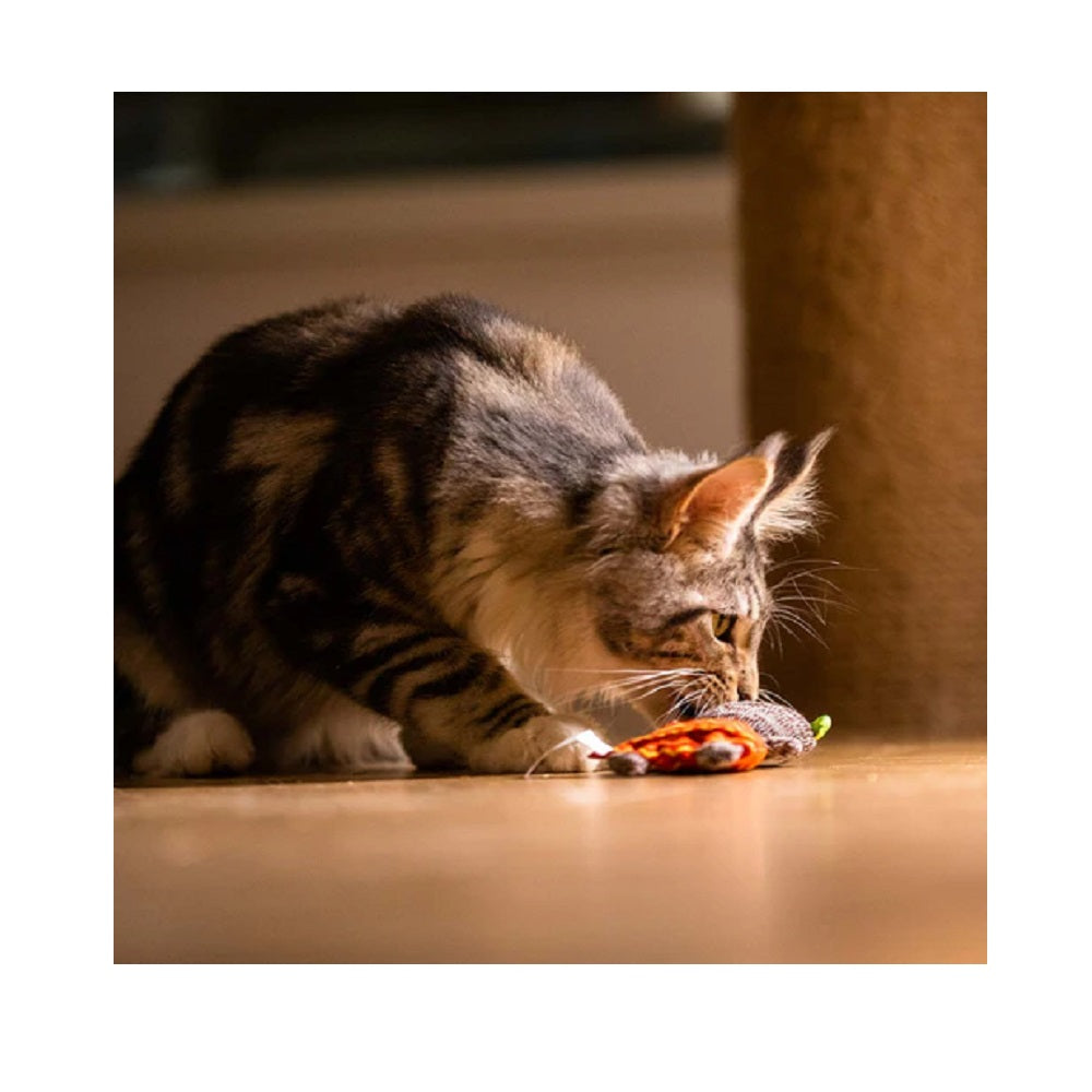 GiGwi Refillable Catnip Toy - Bear or Rabbit