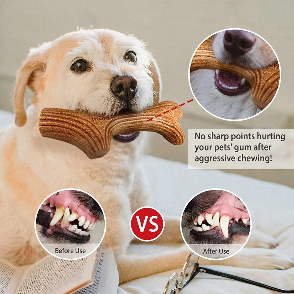GiGwi Antler Wooden Chew