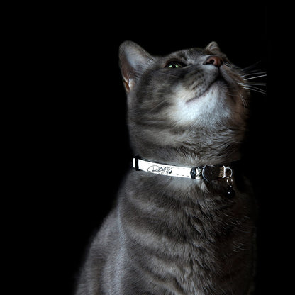 Rogz GlowCat Collar - Jumping Cats "Glow in the Dark"