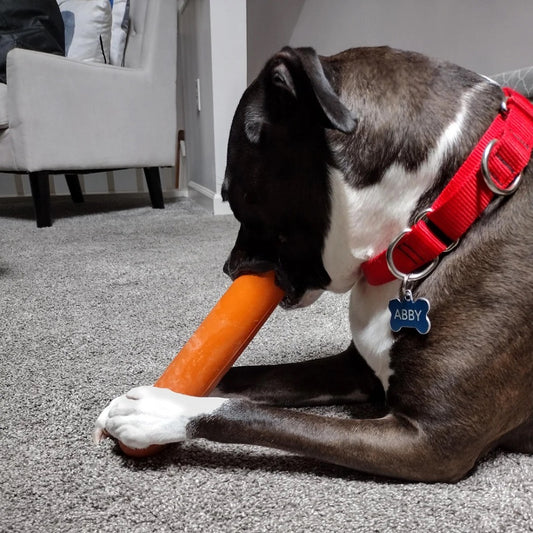 Goughnuts Stick - Small Orange