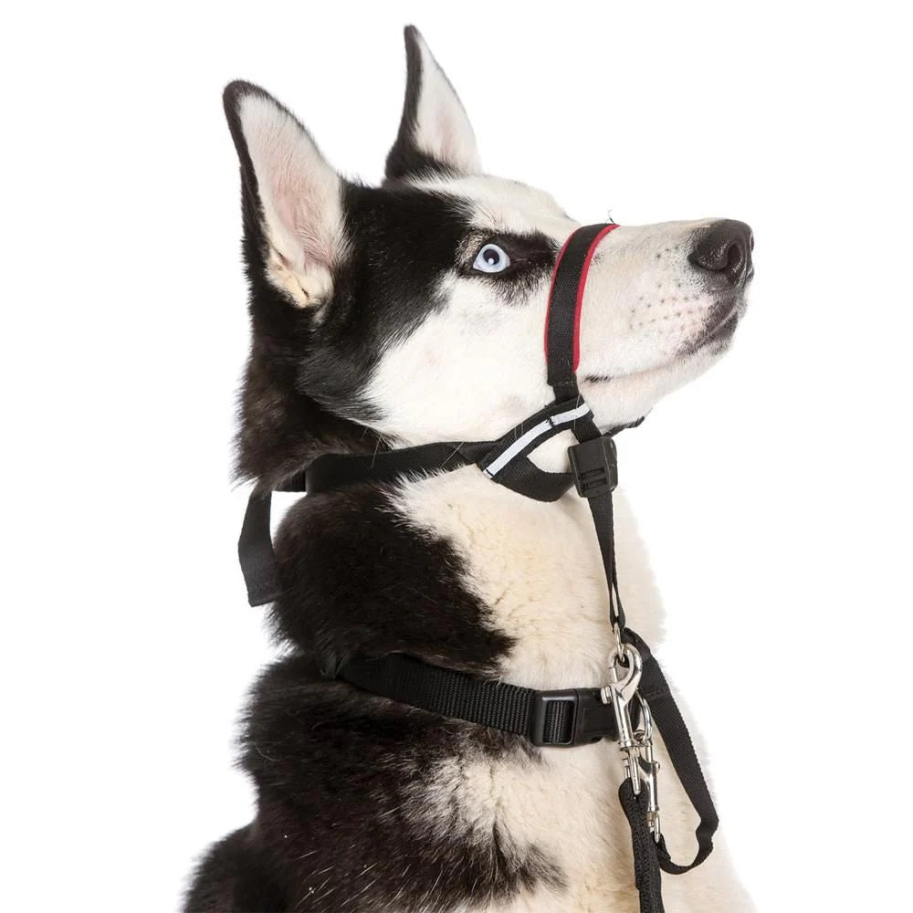 Halti Opti Fit Head Collar