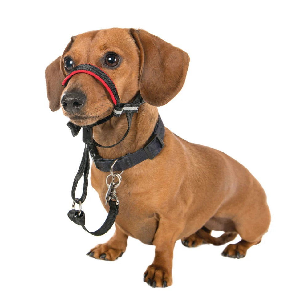 Halti Opti Fit Head Collar
