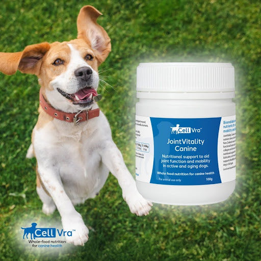 Joint Vitality Canine 100g