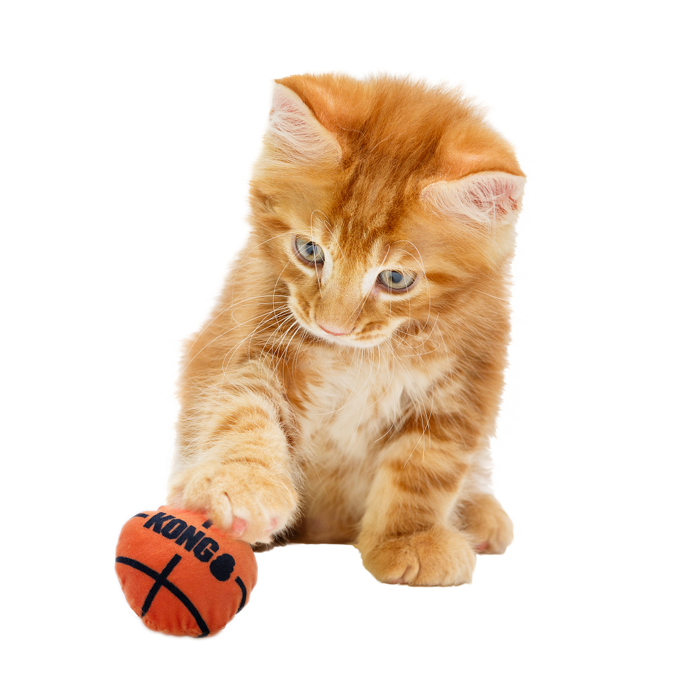 Kong Sports Fetch Balls For Cats
