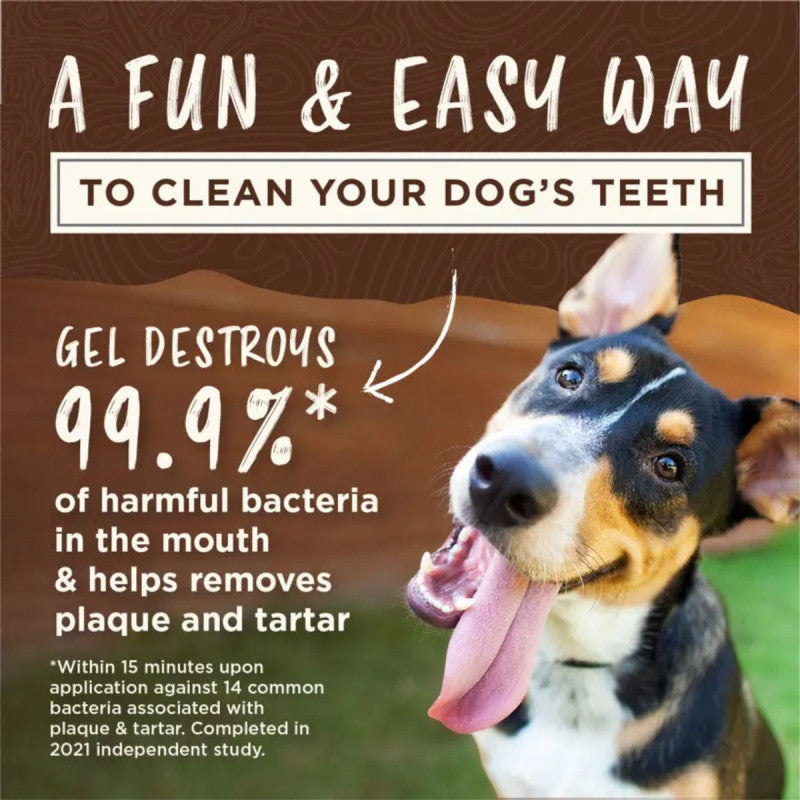 TropiClean Enticers Teeth Cleaning Gel + KONG Dental Ball