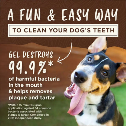 TropiClean Enticers Teeth Cleaning Gel + KONG Dental Ball