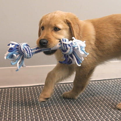 KONG Rope Puppy Stick