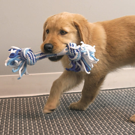 KONG Rope Puppy Stick