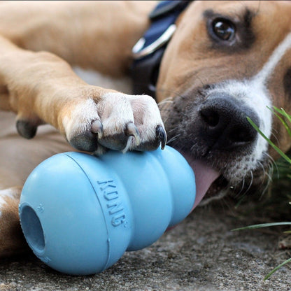 Kong Puppy