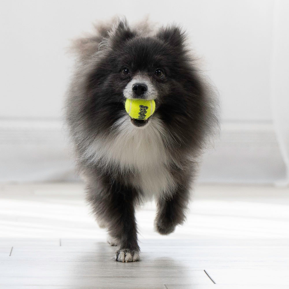 Kong Squeakair Tennis Ball