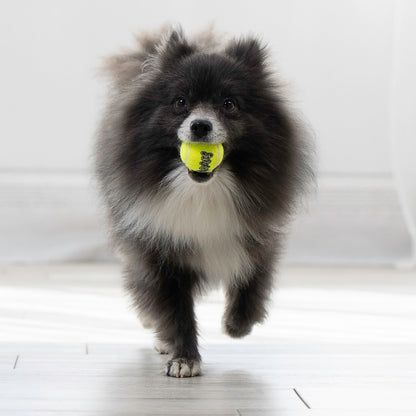 Kong Squeakair Tennis Ball