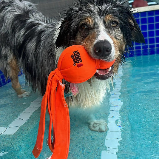 Kong Water Wubba