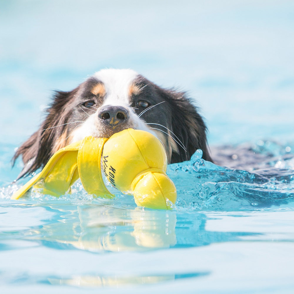 Kong Water Wubba