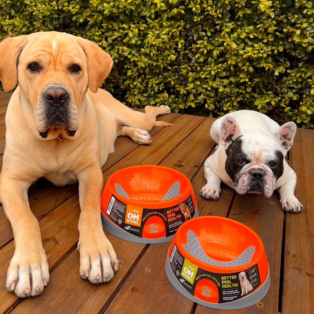 LickiMat® OH Bowl®