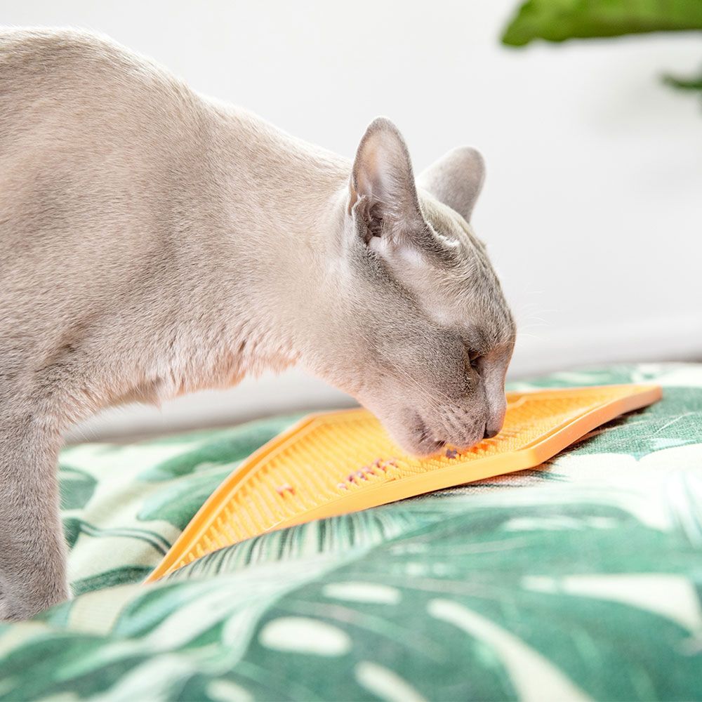 Lickimat Soother
