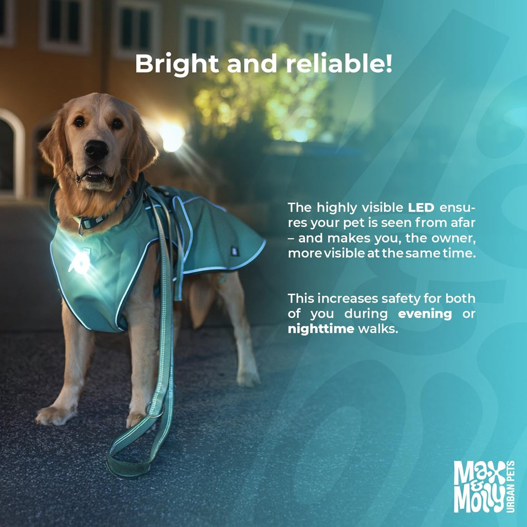 Matrix 2.0 Ultra LED - Safety Light - Max & Molly
