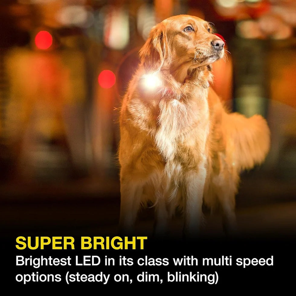 Matrix 2.0 Ultra LED - Safety Light - Max & Molly