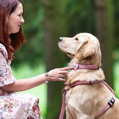 Soundshield - 24/7 Ultrasonic Technology Against Ticks & Fleas