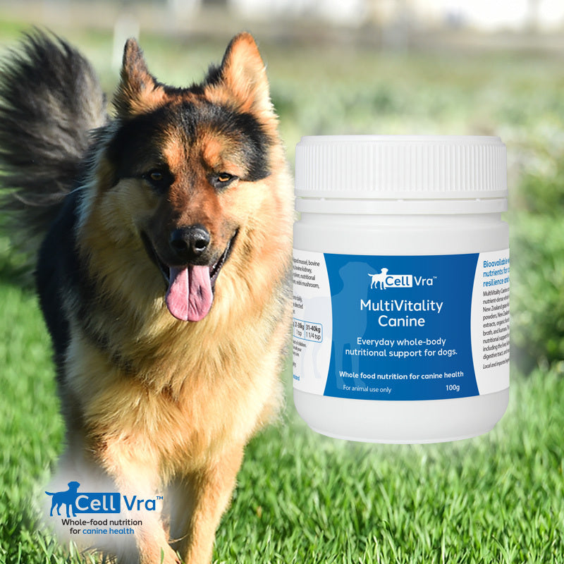 MultiVitality Canine 100g