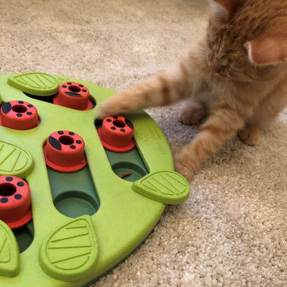Buggin’ Out Puzzle & Play