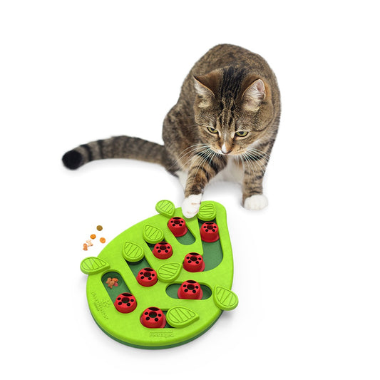 Buggin’ Out Puzzle & Play