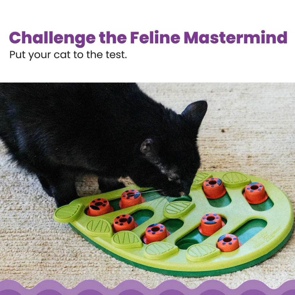 Buggin’ Out Puzzle & Play