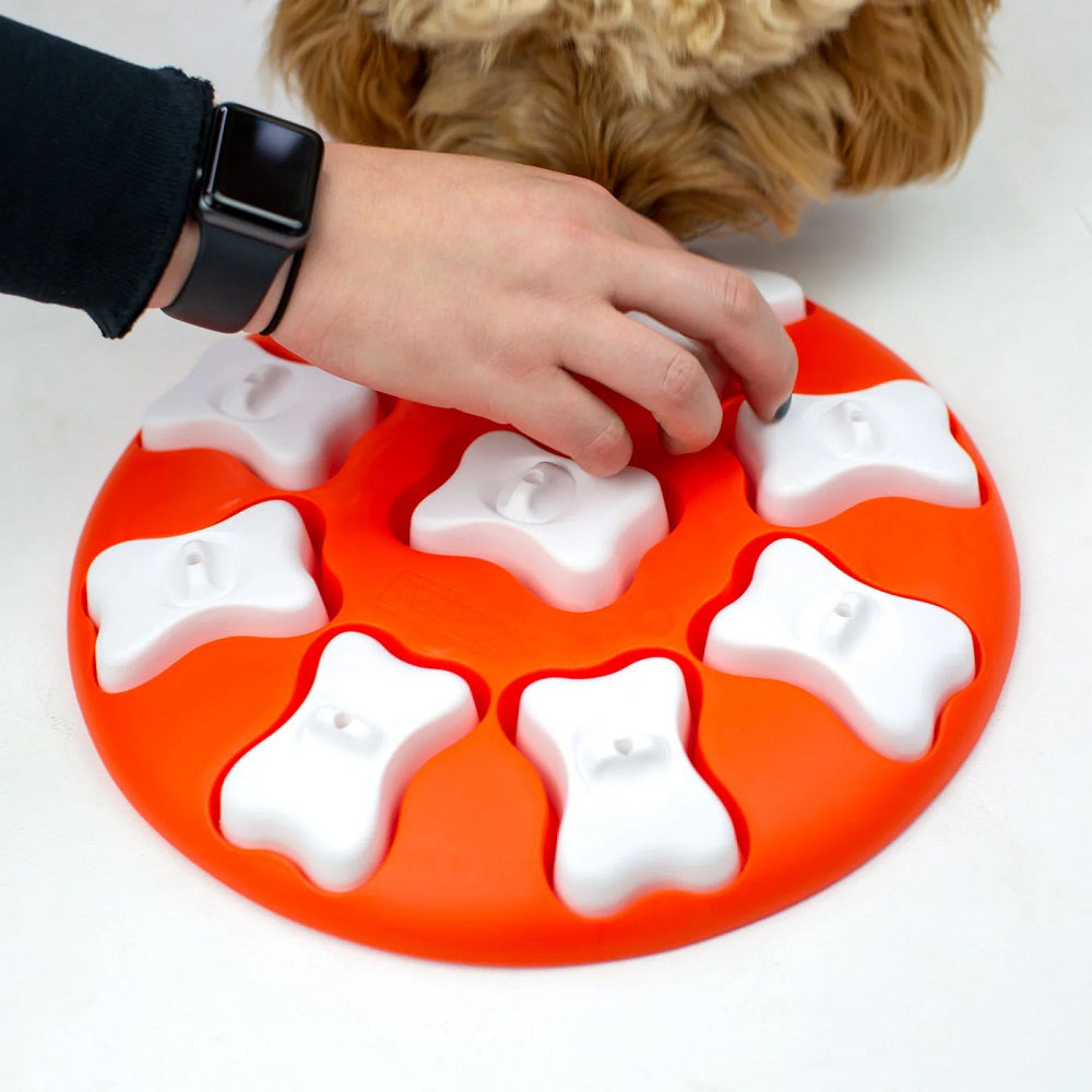 Dog Smart Interactive Treat Puzzle Dog Toy (Orange)
