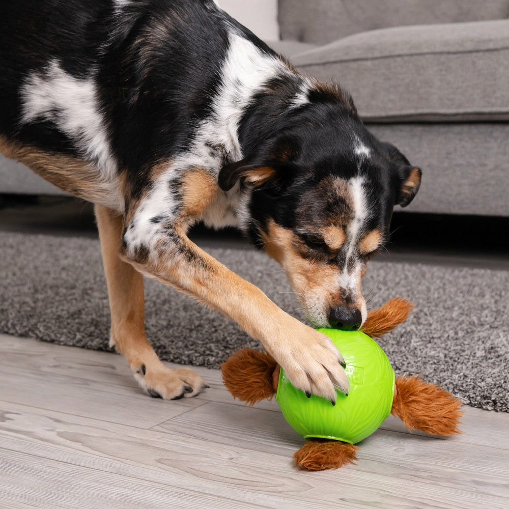 Nina Ottosson Dog Snuffle N’ Treat Interactive Puzzle Ball