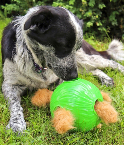 Nina Ottosson Dog Snuffle N’ Treat Interactive Puzzle Ball