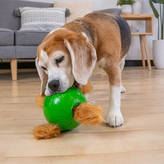 Nina Ottosson Dog Snuffle N’ Treat Interactive Puzzle Ball