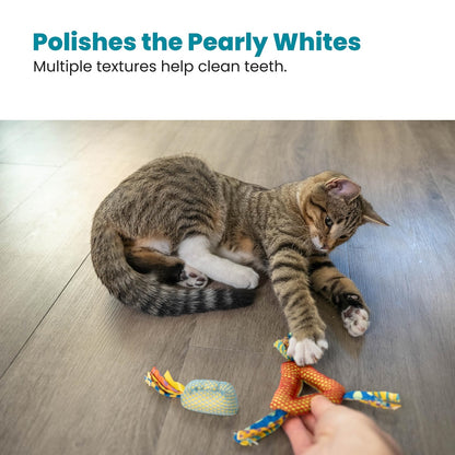 Petstages Dental Health Textures Chews