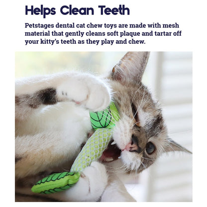 Petstages Fresh Breath Mint Stick
