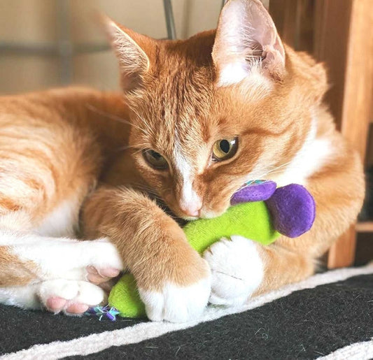 Petstages Green Magic Mightie