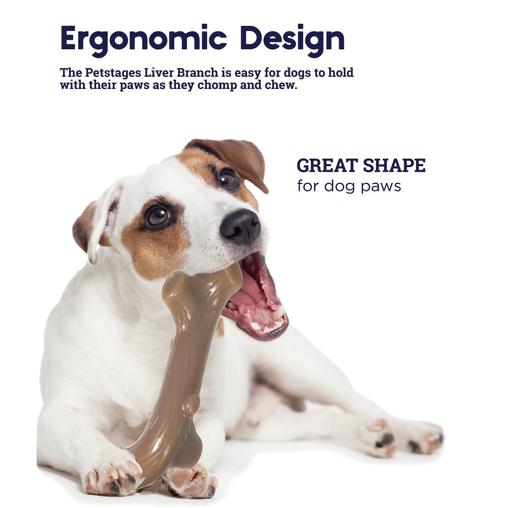 Liver Branch - Small (15cm) by Petstages