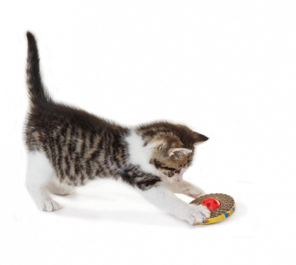 Petstages Spin and Scratch