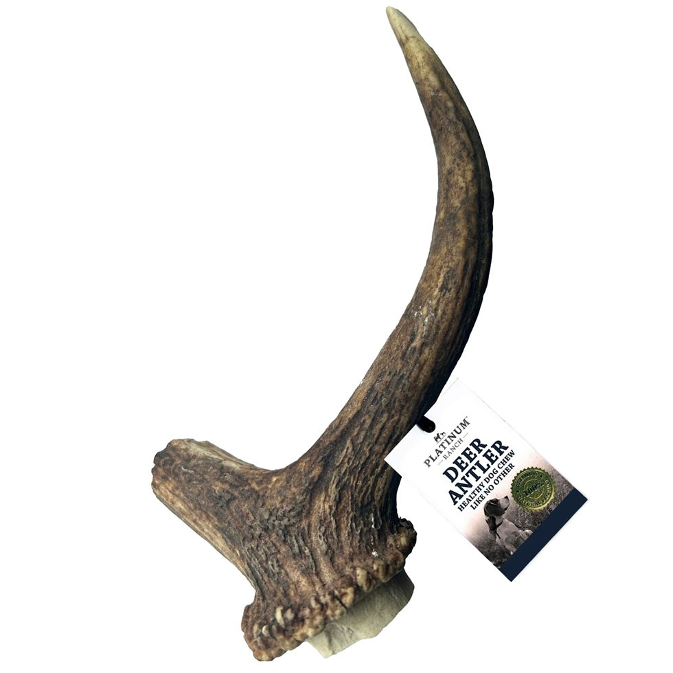 Platinum Ranch Deer Antler Dog Chew