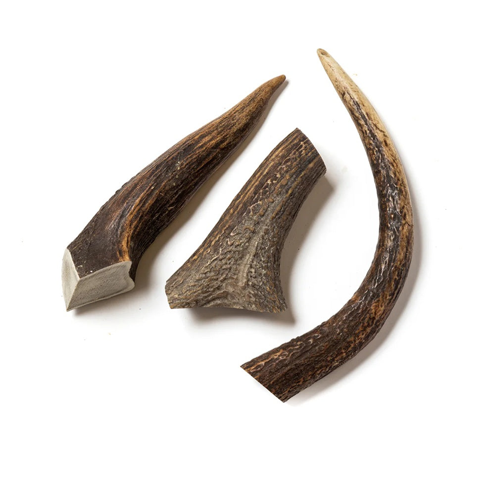 Platinum Ranch Deer Antler Dog Chew
