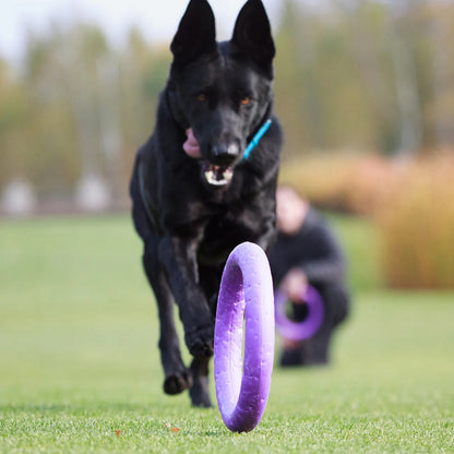 Puller Exercise and Play Rings