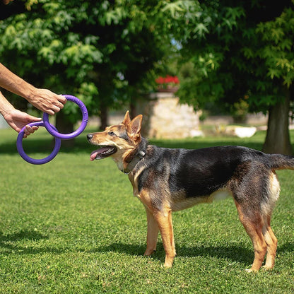 Puller Exercise and Play Rings