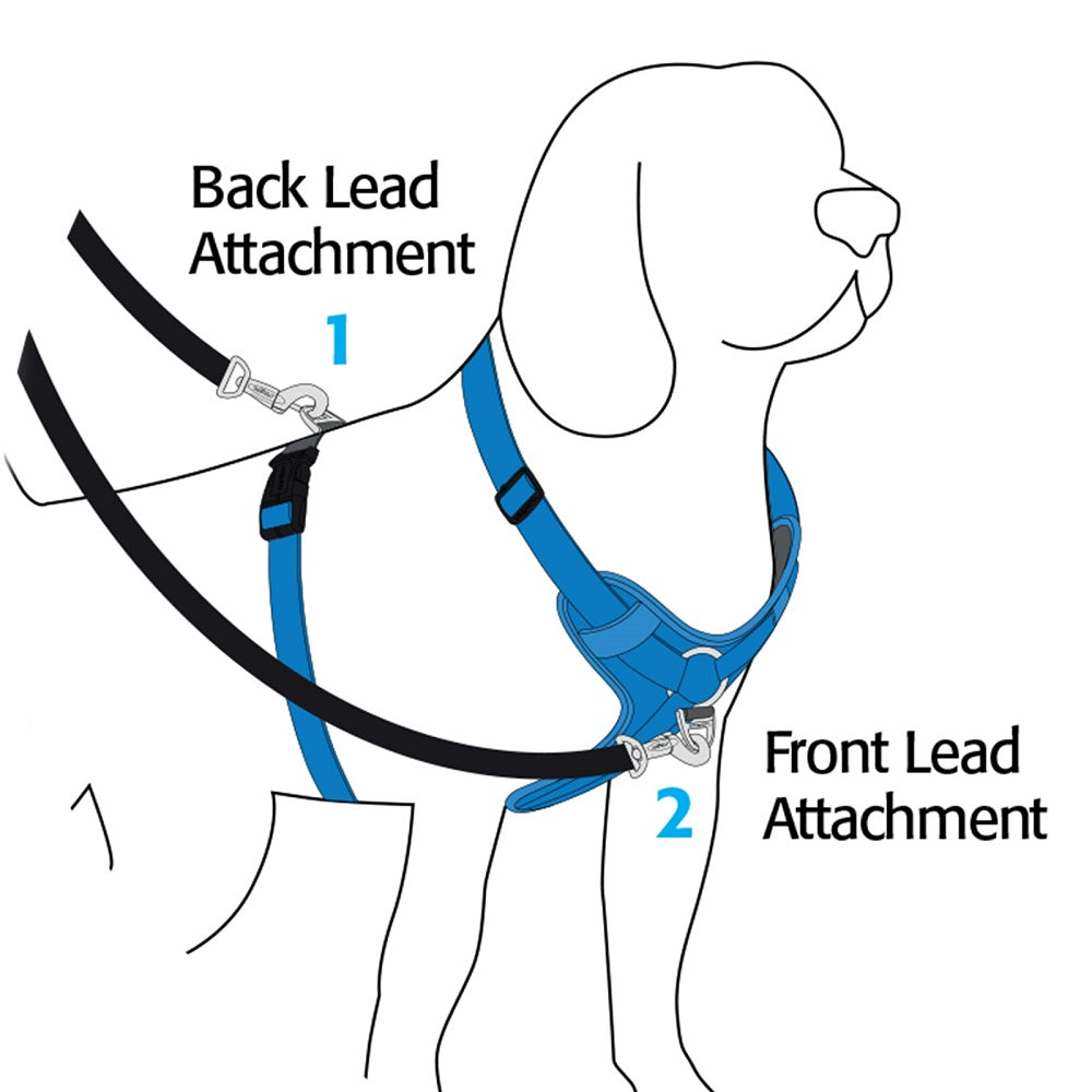 Rogz Explore Harness - Save 25%