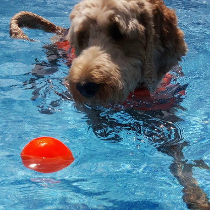 Ruff Dawg Indestructible Ball