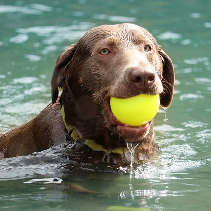 Ruff Dawg Indestructible Ball