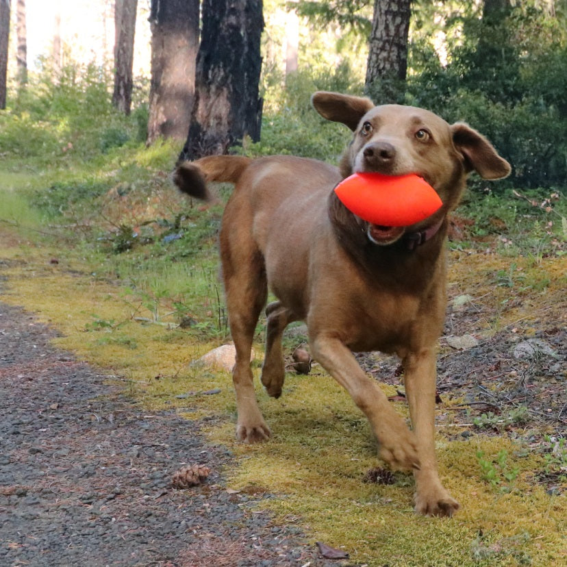 Ruff Dawg Football / Football XL