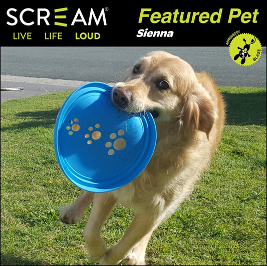 Scream Silicone Frisbee