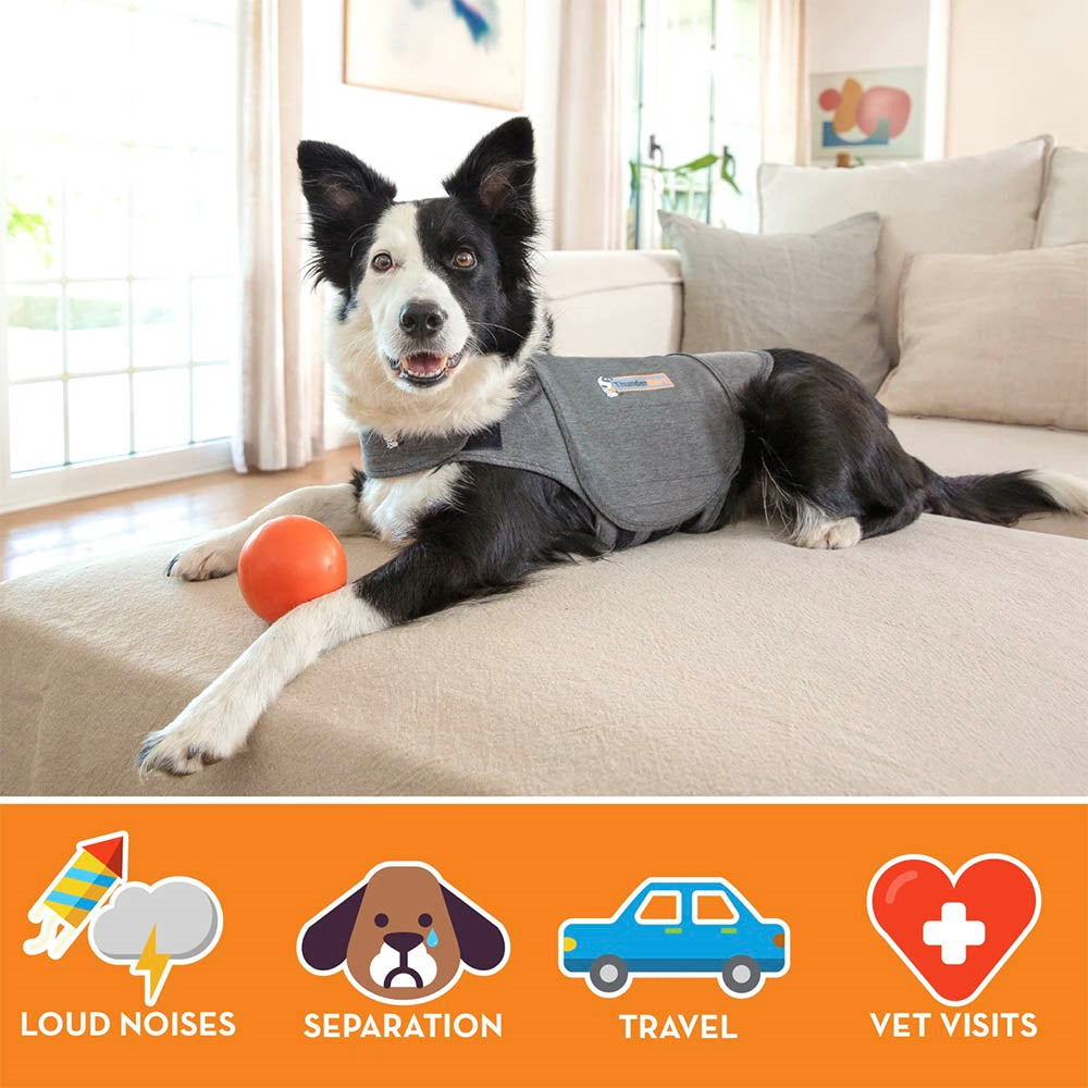 Thundershirt