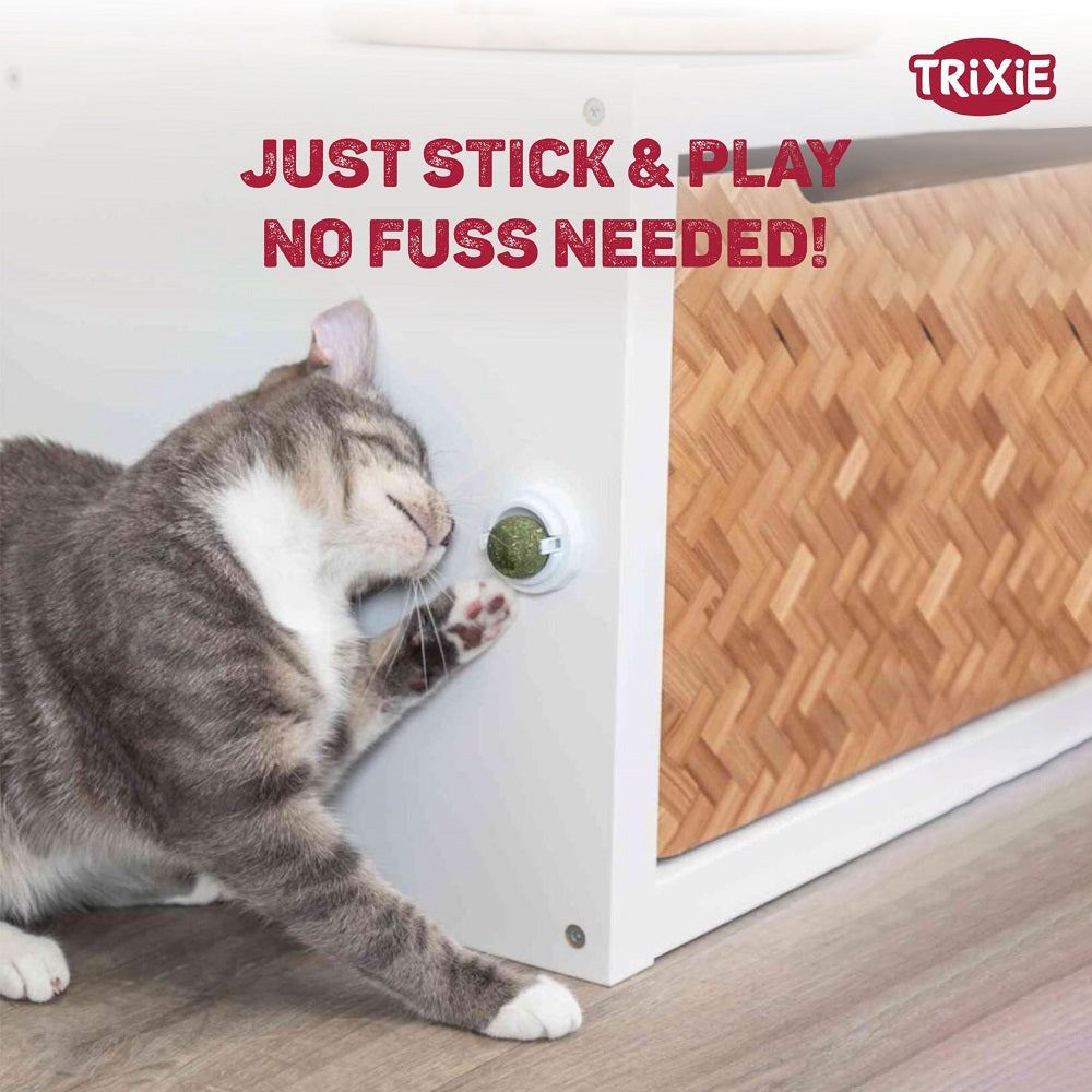 Trixie Catnip Ball With Holder