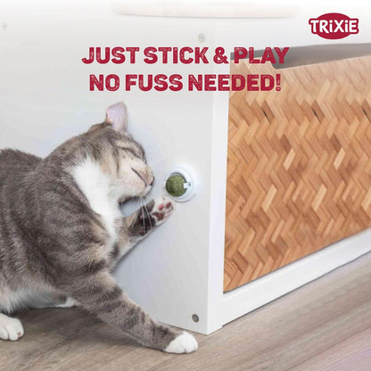 Trixie Catnip Ball With Holder