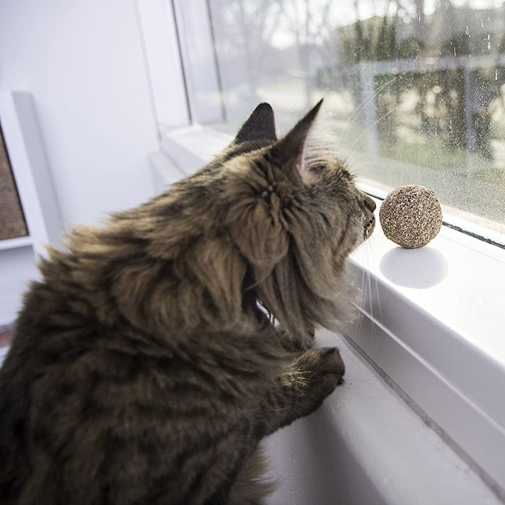 Trixie Catnip Ball