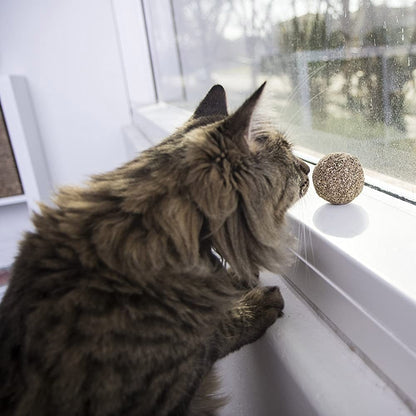 Trixie Catnip Ball