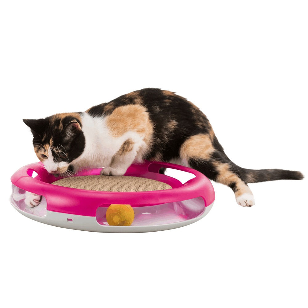 Trixie Race & Scratch